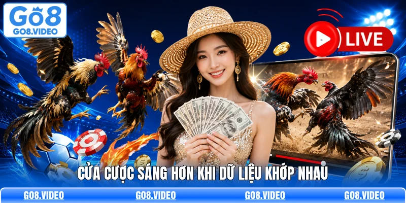 Cửa cược sáng hơn khi dữ liệu khớp nhau